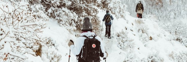 A Group of 3 People Snowshoe on Edmonton Trails, Canada