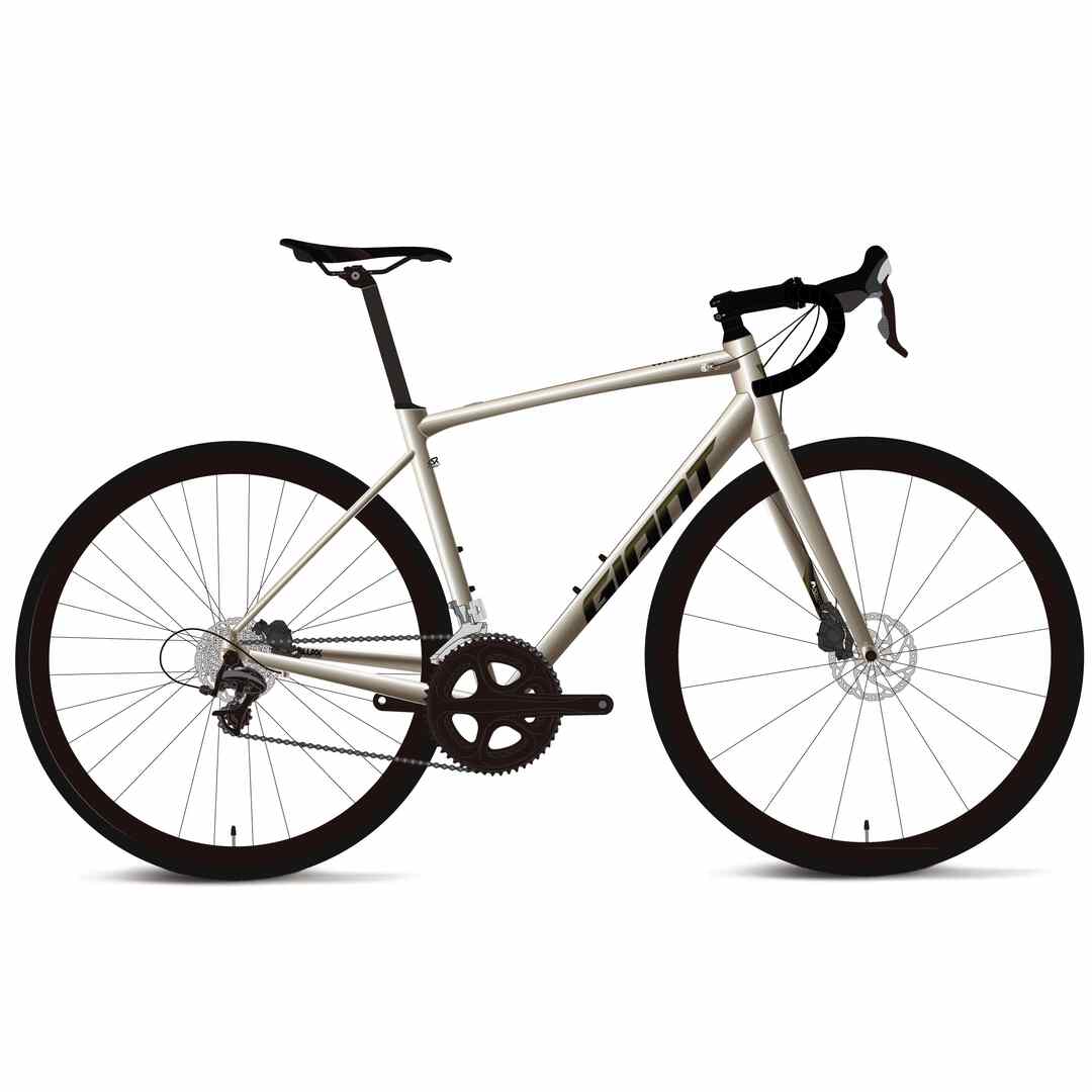 Giant Contend AR 2 AllRounder Road Bike 2024