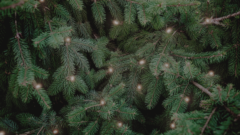 The Ultimate Holiday Gift Guide for Bike Riders