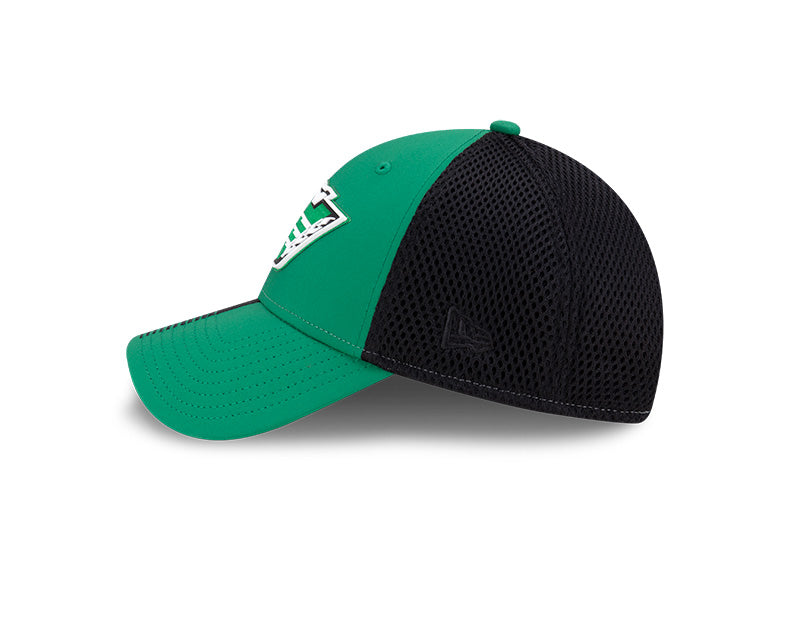New Era Men's CFL Saskatchewan Roughriders Sideline '24 9FORTY Cap Green/Black