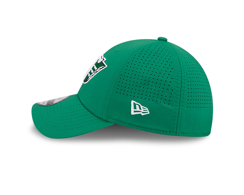 New Era Men's CFL Saskatchewan Roughriders Sideline '26 3930 Hat
