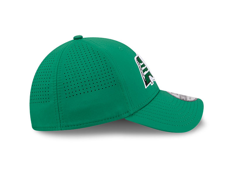 New Era Men's CFL Saskatchewan Roughriders Sideline '26 3930 Hat
