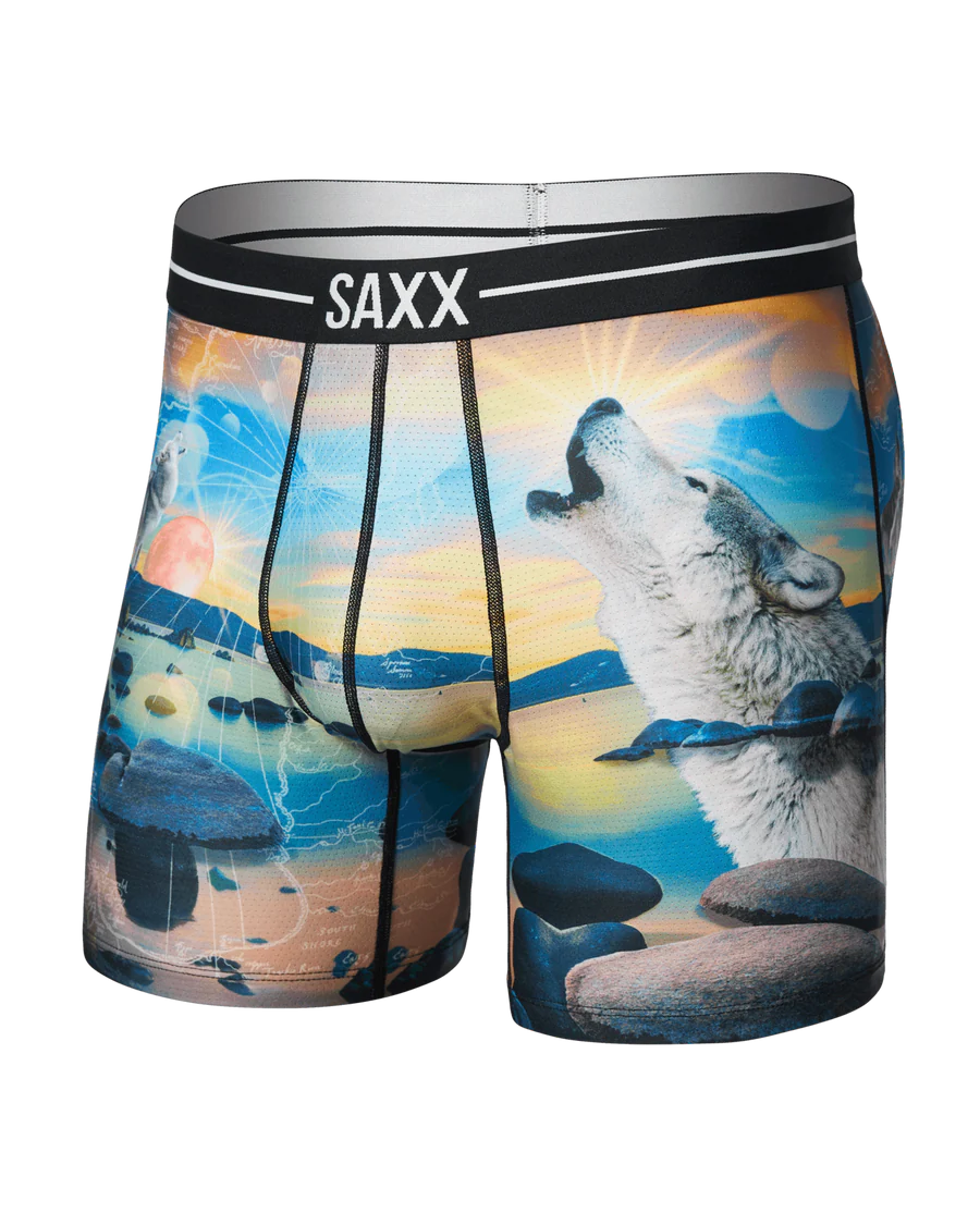 SAXX Men's Volt Boxer Briefs I DREAM OF TAHOE-MULTI 
