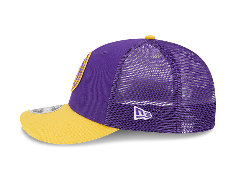 Vikings best sale sideline hat