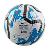 Shop Nike Academy Premier League Soccer Ball White/Blue Edmonton Canada Store