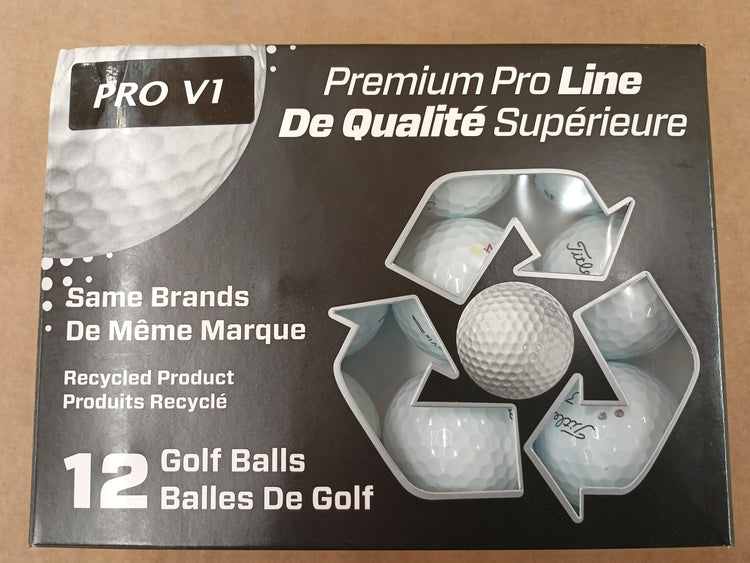 Titleist Pro V1/Pro V1X A/B Grade Used Golf Balls (Dozen)