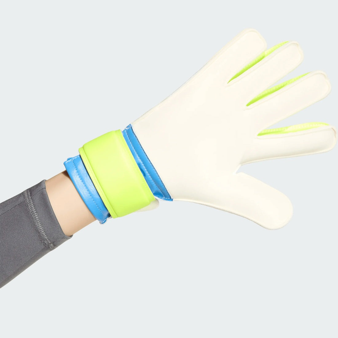 adidas Junior Predator TRN Soccer Goalkeeper Glove blue/yellow