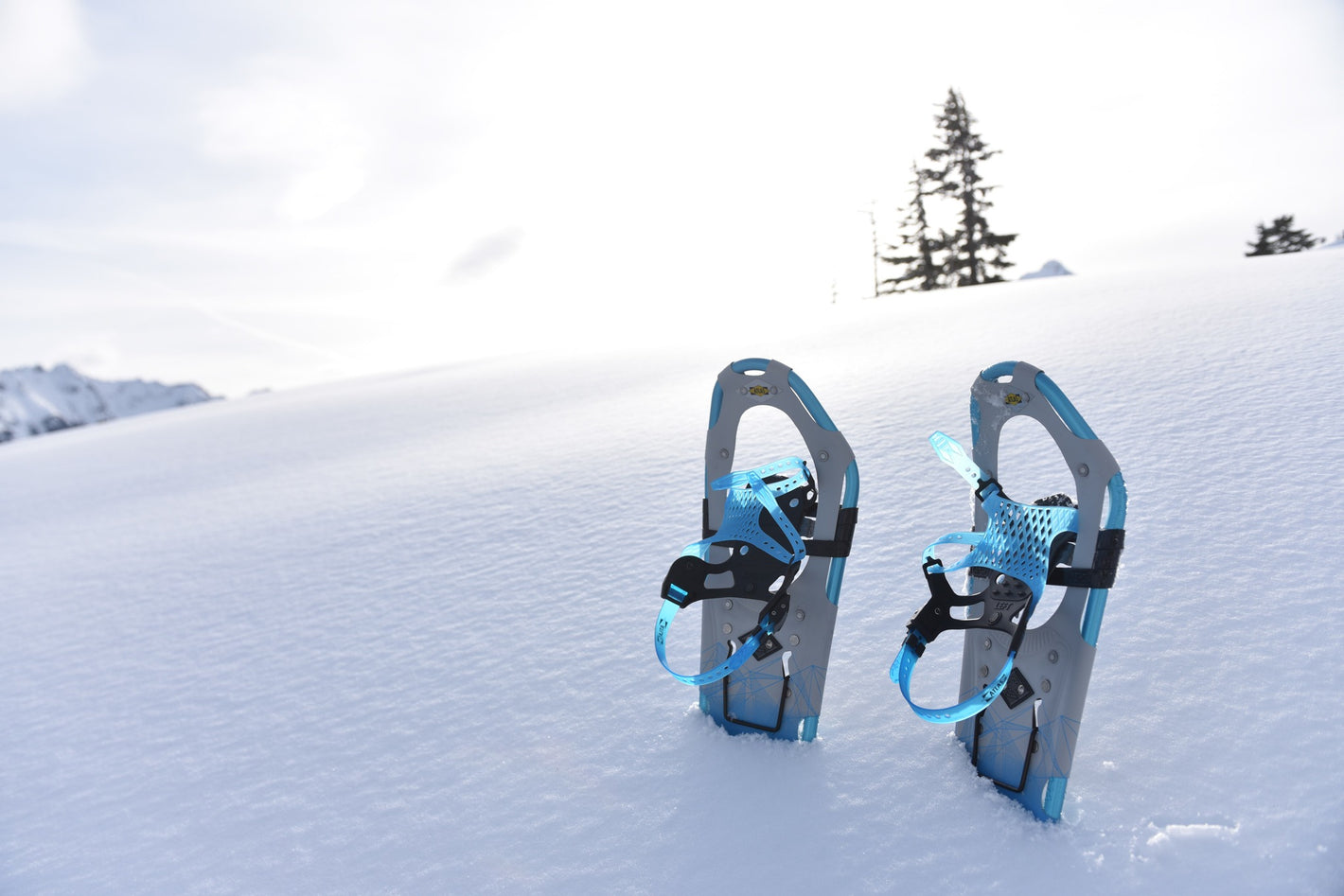 United Sport & Cycle Edmonton's Favourite Bike and eBike Store