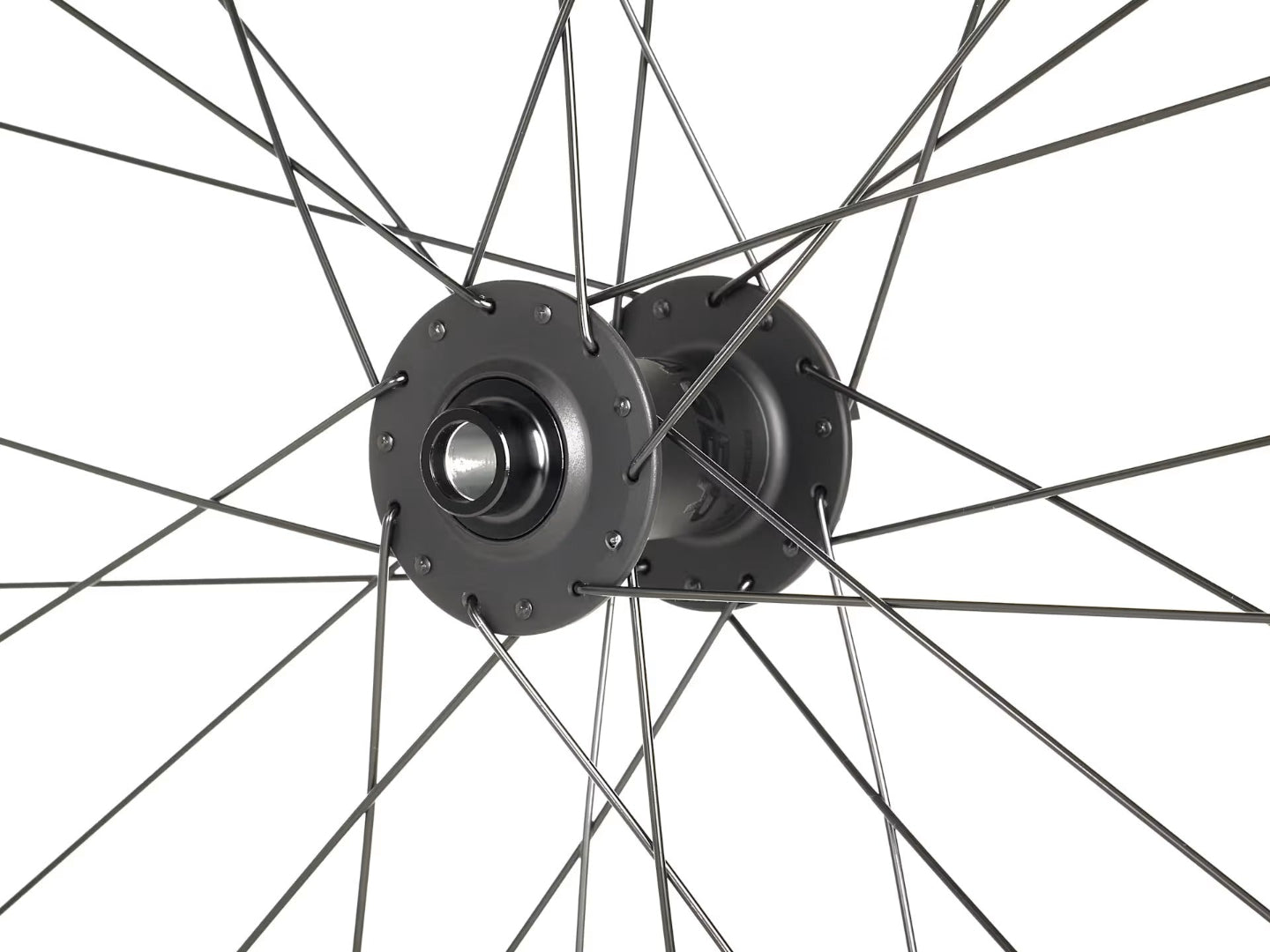 Bontrager 29