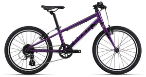 Giant ARX 20 Kids Bike 2024 Purple