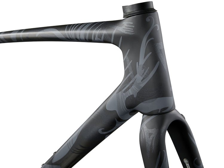 Giant TCR Advanced SL Disc Frameset 2024 Incised Black Large