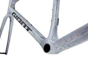 Giant TCR Advanced SL Frameset 2025 Opal Medium/Large