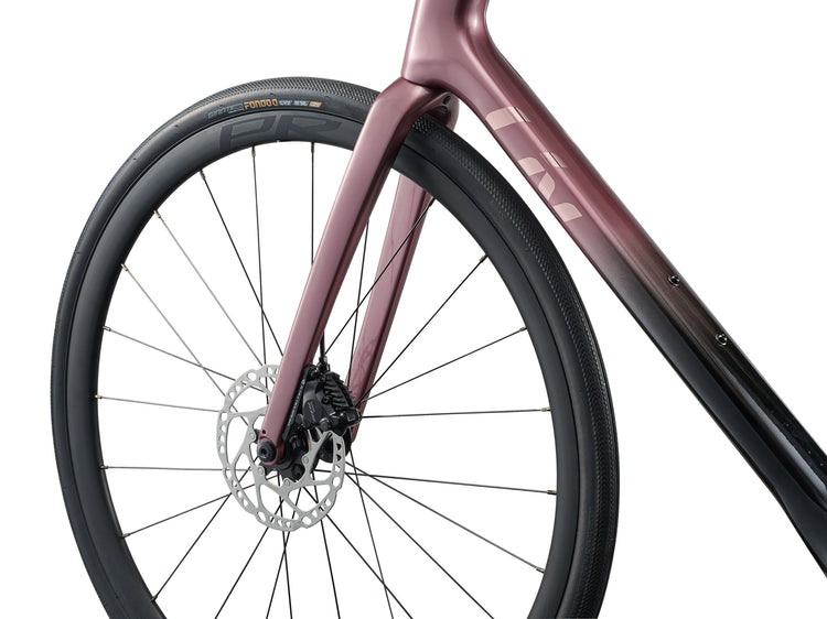 Liv Avail Advanced 1 Endurance Road Bike 2026 Iron Rouge/Carbon