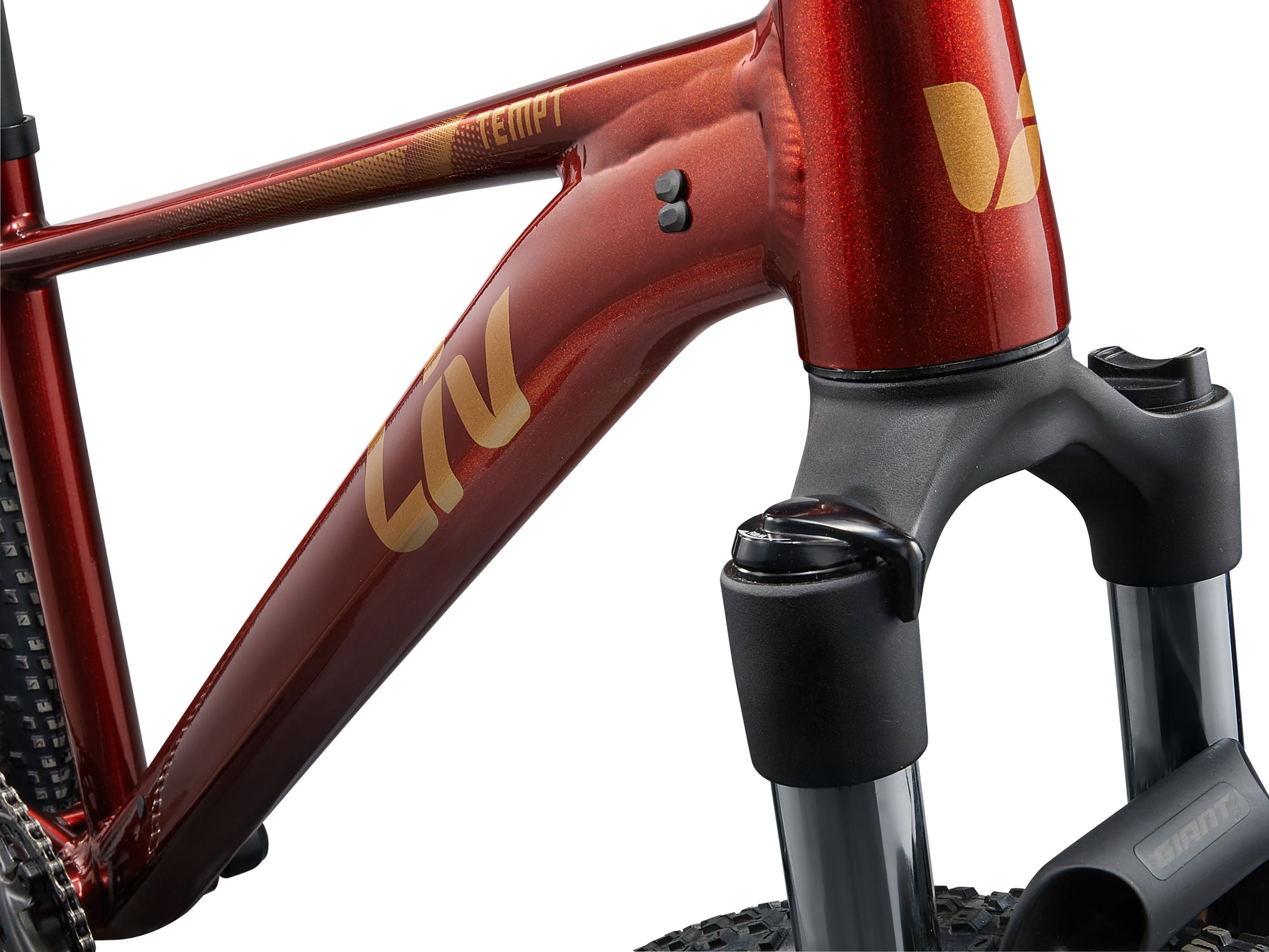 Liv Tempt 2 Hardtail Trail Bike 2025 Mars Dust 