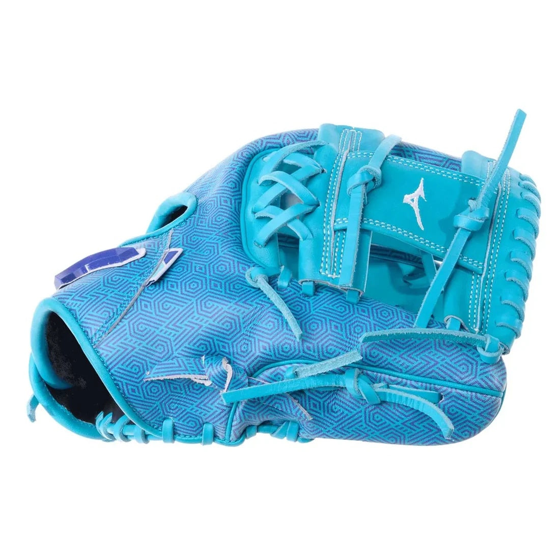 Mizuno Pro Select GPS-40RMP1906 M-Print Baseball Glove blue