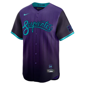 Nike Men's MLB Arizona Diamondbacks City Connect Jersey 2025 purple
