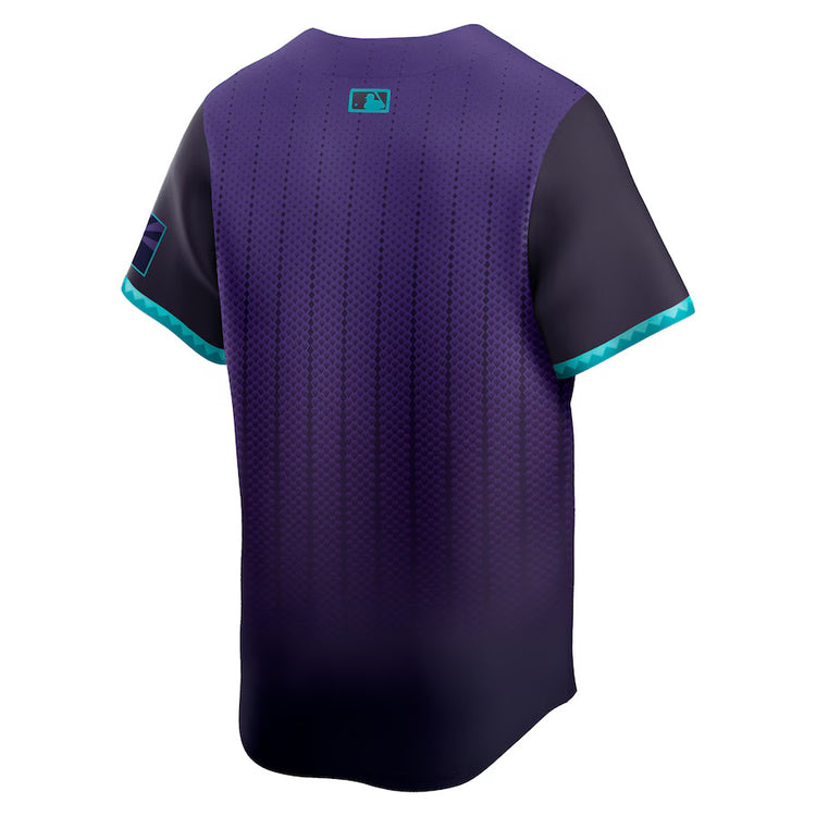 Nike Men's MLB Arizona Diamondbacks City Connect Jersey 2025 purple