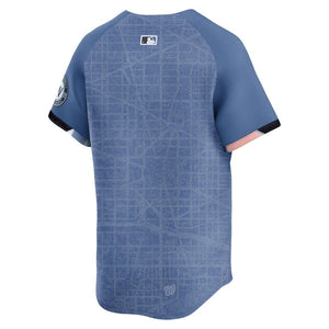 Nike Men's MLB Washington Nationals City Connect Jersey blue