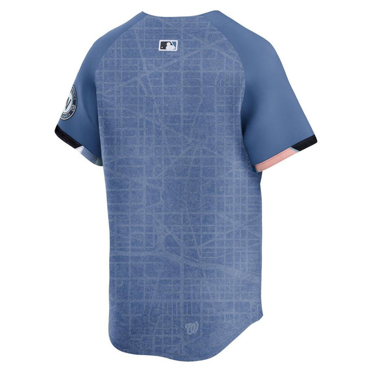 Nike Men's MLB Washington Nationals City Connect Jersey blue