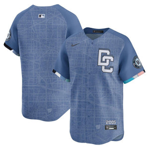 Nike Men's MLB Washington Nationals City Connect Jersey blue