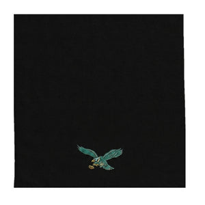 Northwest NFL Philadelphia Eagles 4 Piece 12x12 Wash Cloth Set black