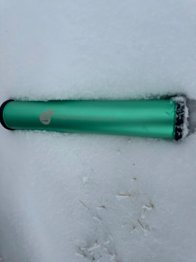 Palm Cooling Recovery Bar Green