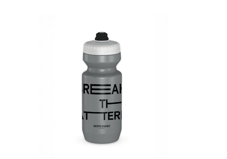 Peppermint Bike Water Bottle Silver