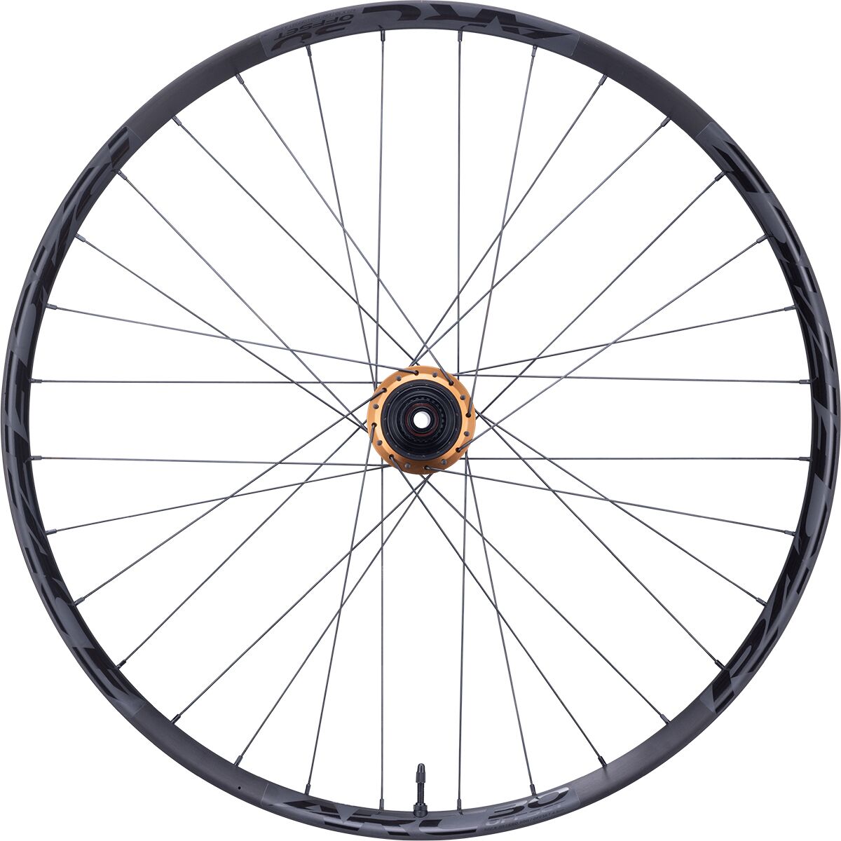 Race Face 29" Kashmoney ARC Alloy Wheel Set