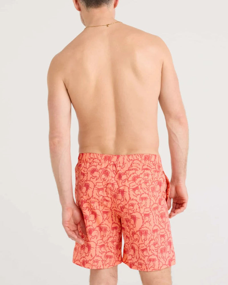 SAXX Men's Go Coastal 2-in-1 7" Volley Swim Shorts parrot party coral orange