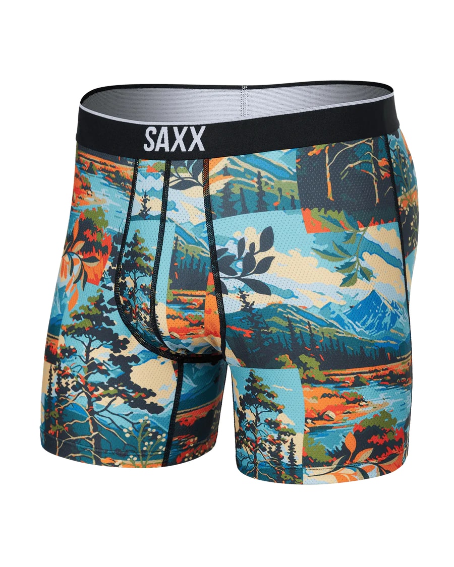 SAXX Men's Volt Boxer Briefs Painted Landscape