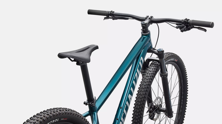 Specialized Rockhopper Expert Hardtail Mountain Bike 2026 29 Gloss Emerald Metallic/Shadow Silver 