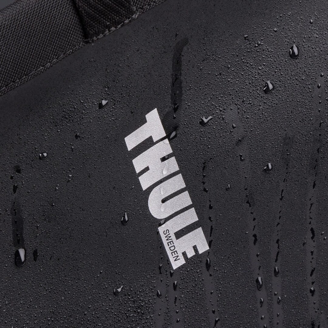 Thule Chasm Cargo Bin w/InLock Bike Bag black
