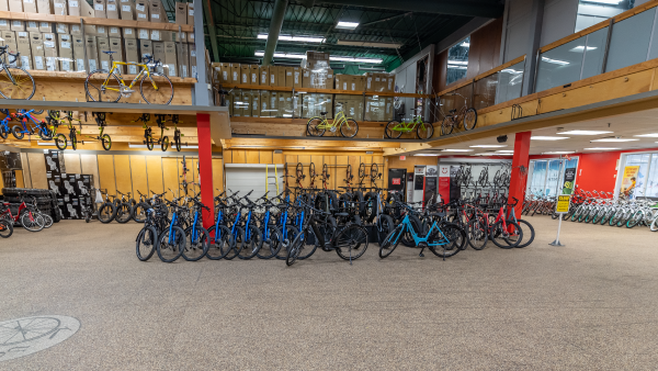 United cycle bike tune up deals