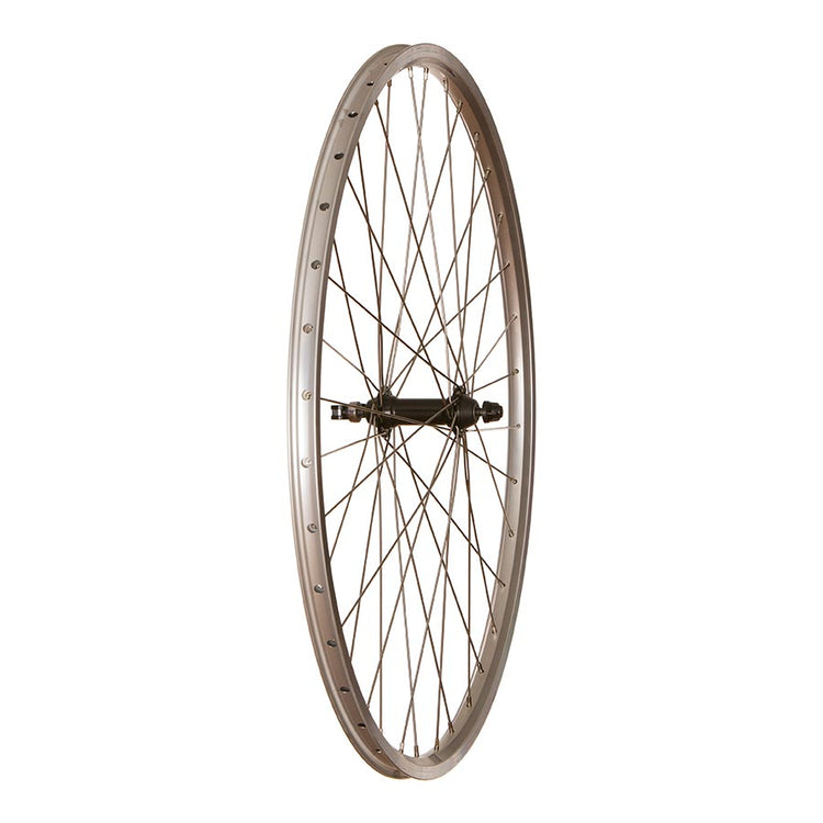 Wheel Shop Evo Tour 19 (27") Wheel