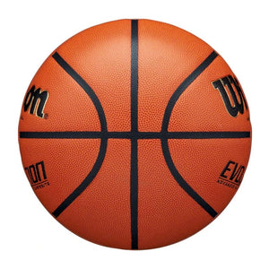 Wilson Evolution Indoor Basketball