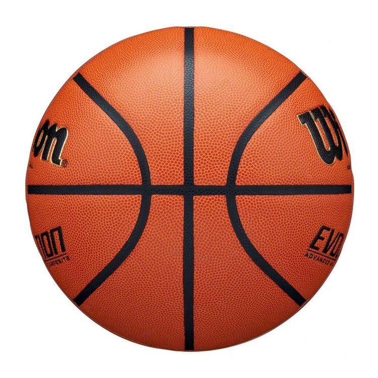 Wilson Evolution Indoor Basketball