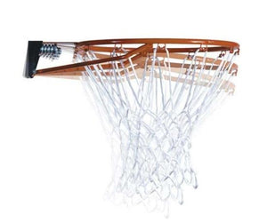 Shop Lifetime 50" In-Ground basketball system Edmonton Alberta Canada store