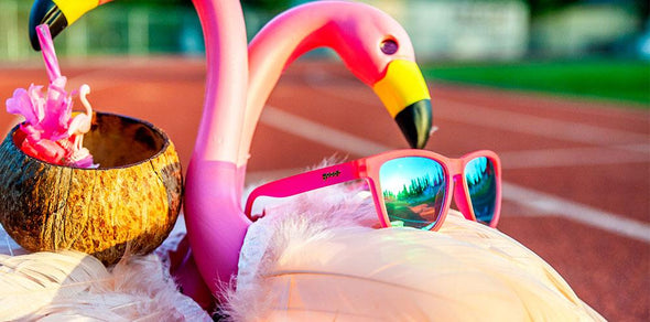 Goodr Flamingos on a Booze Cruise Sunglasses edmonton store