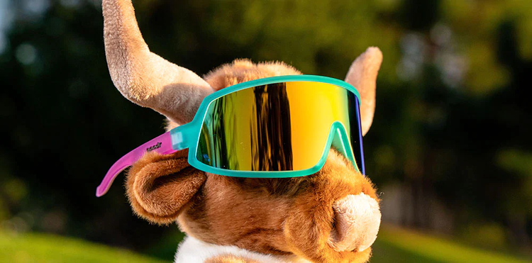 Shop Goodr Save A Bull Ride A Rodeo Clown Wrap Sunglasses Blue Edmonton Canada Store
