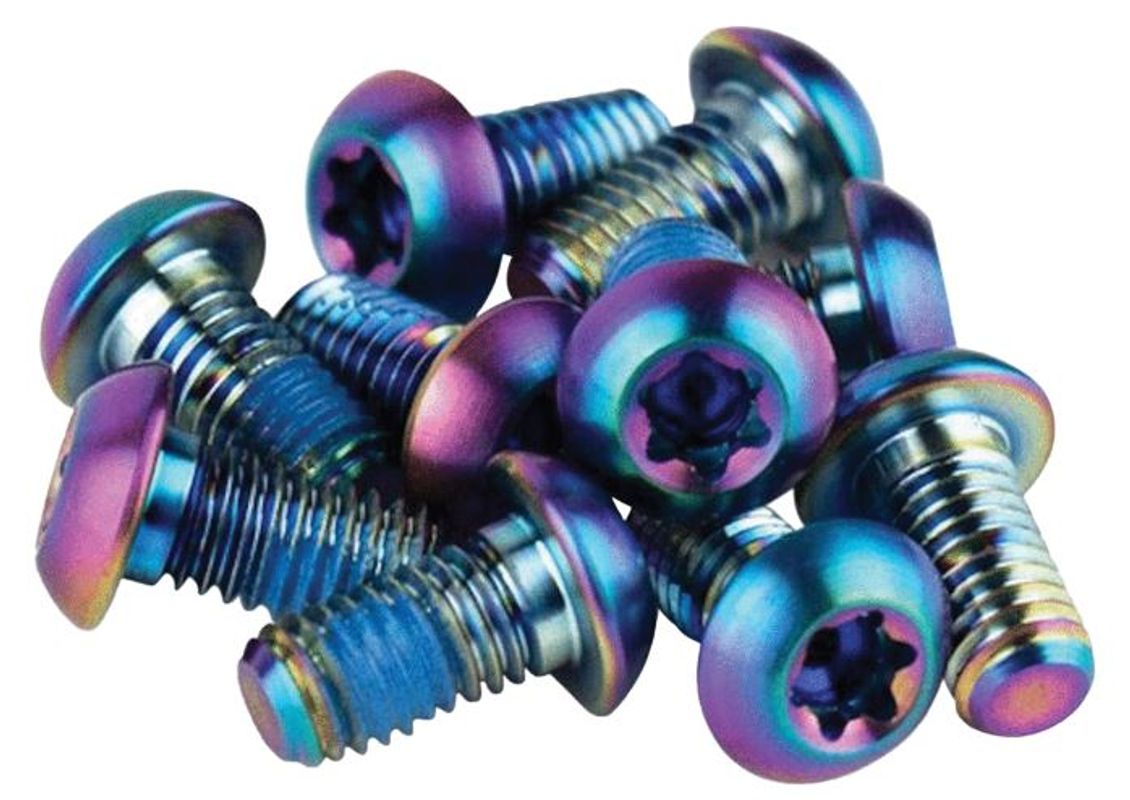 Shop SRAM Titanium T25 Rainbow Rotor Bolts Edmonton Canada Store